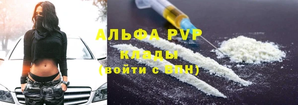 крисы Алзамай