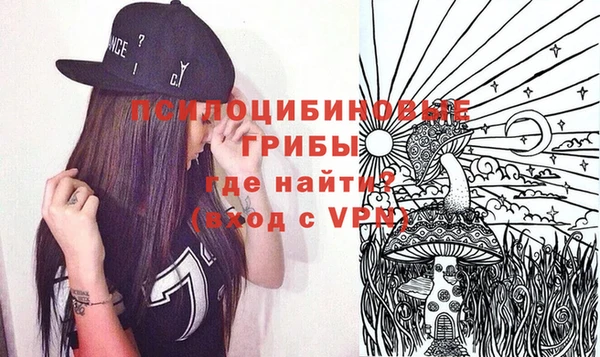 скорость Няндома