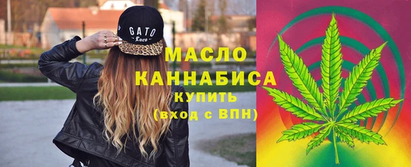 крисы Алзамай