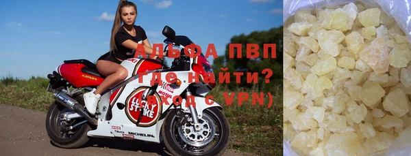 крисы Алзамай